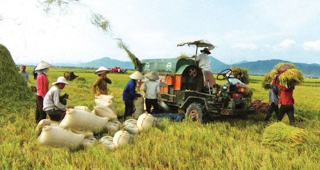 Làm thế nào để đưa thương hiệu gạo Việt ra thế giới?