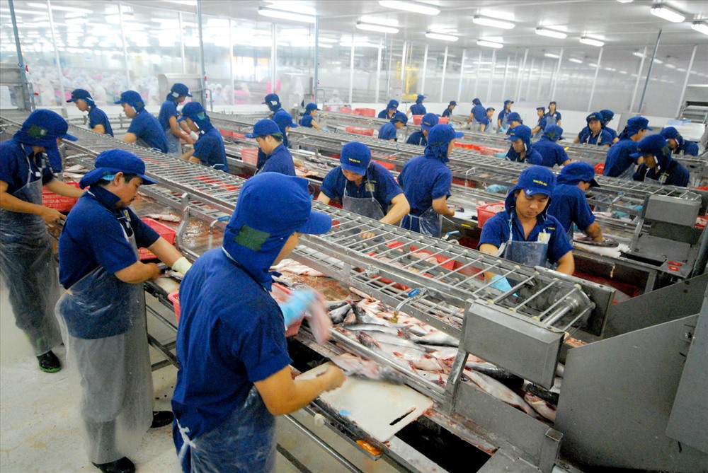 Thêm 23 doanh nghiệp thủy sản đủ điều kiện xuất khẩu vào Trung Quốc