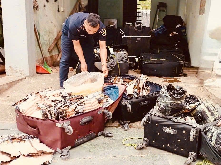 Siết buôn lậu thực phẩm qua biên giới: Áp lực làm sạch thị trường và tái cấu trúc chuỗi cung ứng