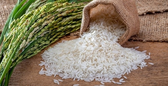 Lúa gạo tiếp tục là điểm sáng trong bức tranh xuất khẩu