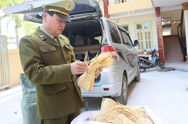 Lạng Sơn: Thu giữ 200 kg dược liệu nhập lậu