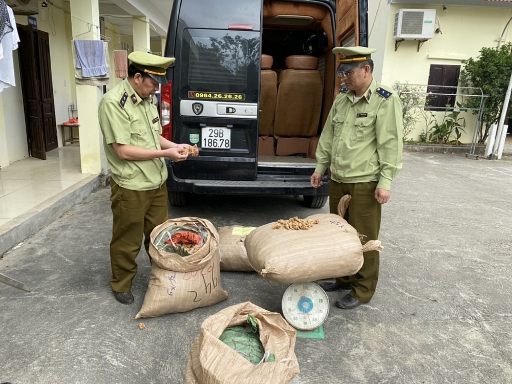 Lạng Sơn: thu giữ 155 kg thuốc bắc không rõ nguồn gốc xuất xứ