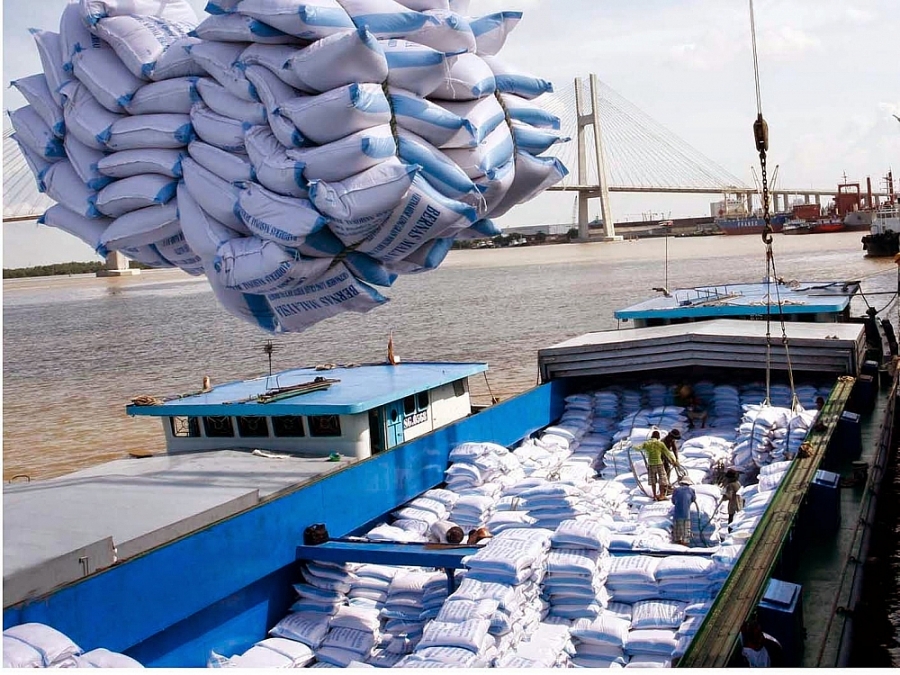 Hạ nhiệt, giá gạo xuất khẩu của Việt Nam vẫn neo ở mức rất cao