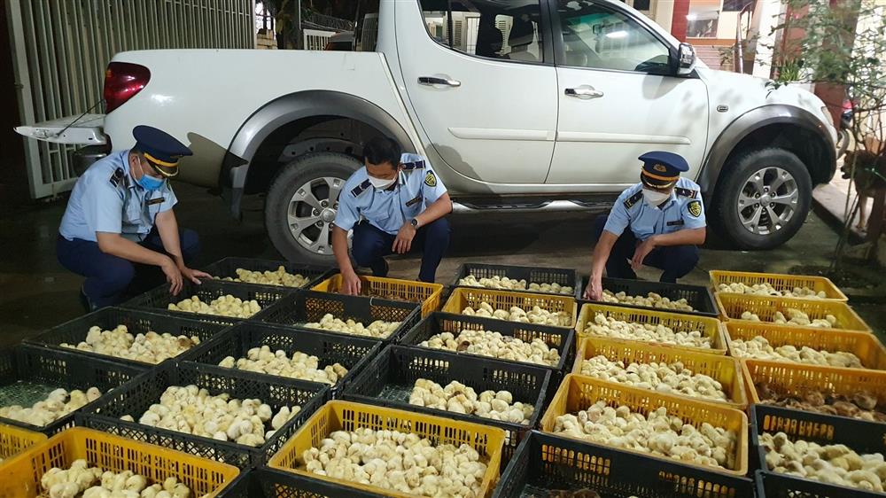 Lạng Sơn: Đẩy mạnh công tác chống buôn lậu, vận chuyển trái phép hàng hóa qua biên giới