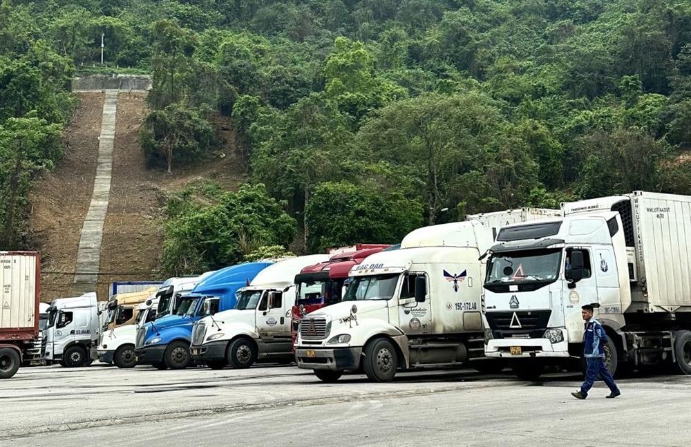 Lạng Sơn: Nâng cao hiệu xuất thông quan, giải phóng lượng xe không hàng Trung Quốc tồn tại cửa khẩu quốc tế Hữu Nghị