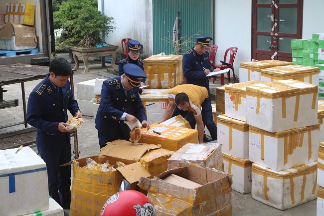 Quảng Bình: Bắt giữ hơn 6.200 kg thực phẩm đông lạnh các loại