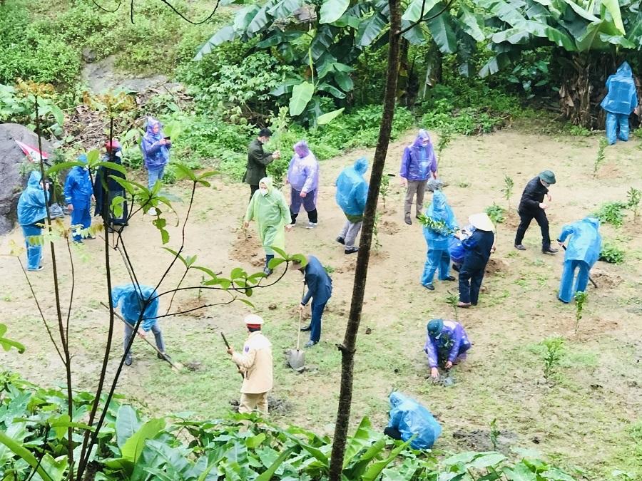 Tạp ch&iacute; T&agrave;i nguy&ecirc;n v&agrave; M&ocirc;i trường trồng 1005 c&acirc;y xanh tại ch&ugrave;a Kim Dung, H&agrave; Tĩnh