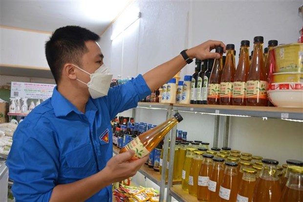 Nam Định: Khát vọng xây dựng thương hiệu Giấm mơ trà xanh ở làng cổ Bách Cốc.