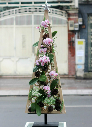 Thông 'lạ' hút khách mùa Noel