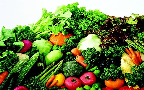 Xuất khẩu rau quả Việt sang Campuchia tăng mạnh trong 8 tháng đầu năm