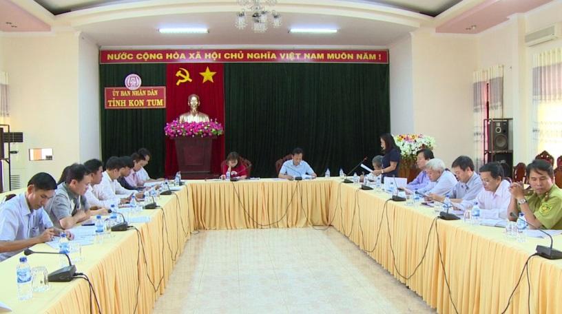 Bộ KH&CN vào cuộc hỗ trợ địa phương xử lý Sâm Ngọc Linh giả