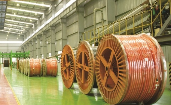 Cadi-Sun: Đầu tư, đổi mới công nghệ để hội nhập và phát triển