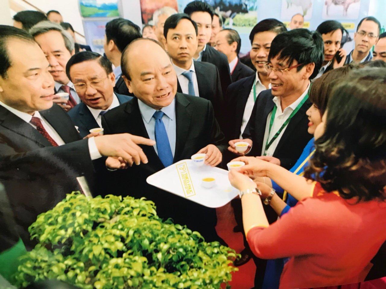 Hội nghị trực tuyến toàn quốc tổng kết 10 năm thực hiện Nghị quyết Trung ương 7 khóa X về nông nghiệp, nông dân, nông thôn dưới sự chủ trì của Thủ tướng Nguyễn Xuân Phúc