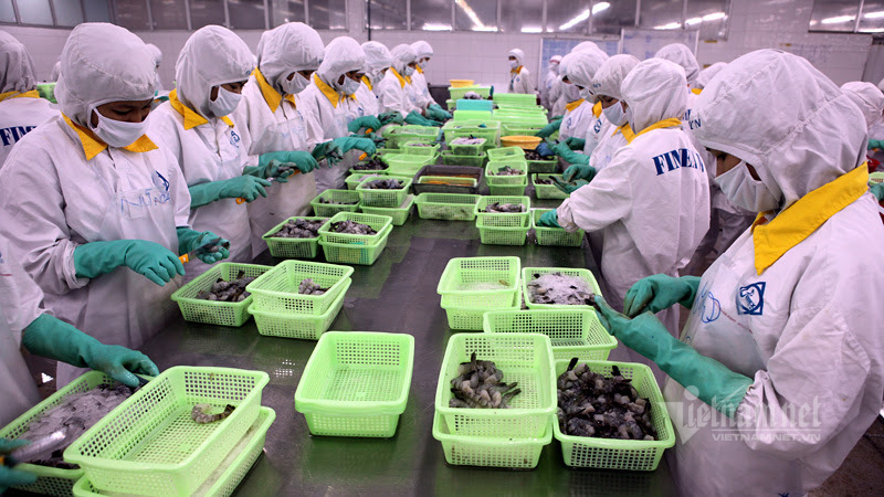 Bộ Nông nghiệp và Phát triển nông thôn cảnh báo bất ổn Nga-Ukraine tác động đến xuất nhập khẩu nông sản Việt Nam
