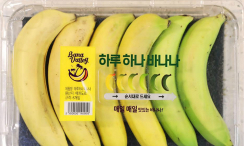 Hộp chuối chín dần đều gây tranh cãi của siêu thị Hàn Quốc