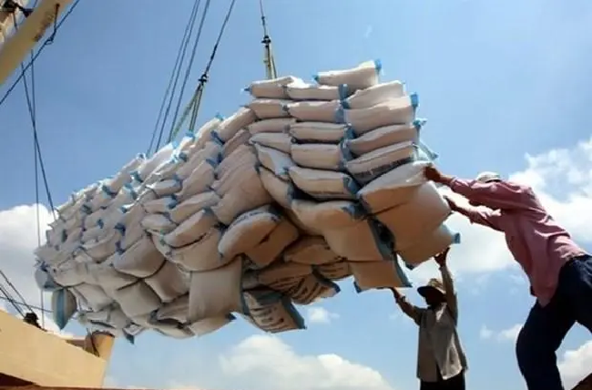 Xuất khẩu gạo trong năm 2023: Nhiều triển vọng tích cực