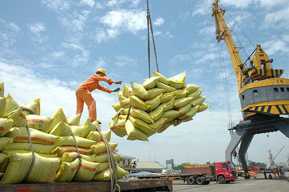 Xuất khẩu gạo đạt kim ngạch gần 2,4 tỷ USD tính tới tháng 7
