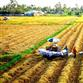Bứt phá thành công, xuất khẩu gạo Việt Nam xác lập kỷ lục mới