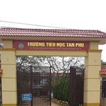 Nghệ An: Trường Tiểu học Tân Phú có “quên” chi trả tiền bồi dưỡng cho giáo viên?