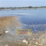 Tiếp bài “Ô nhiễm tại Cụm công nghiệp và cảng cá Hải Bình (Thị xã Nghi Sơn, tỉnh Thanh Hóa)”: Cận cảnh “vòi bạch tuộc” dẫn chất thải xả thẳng ra cửa sông